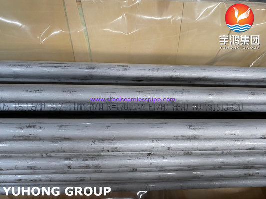 ASME SA789 SAF 2205 / UNS S32205 Διπλής χάλυβα θερμικός ανταλλακτής U Bend Tube