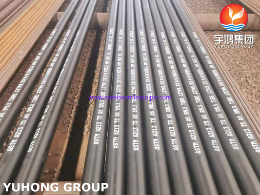 ASTM A213 T5 K41545 Χωρίς συγκόλληση σωλήνας από κράμα χάλυβα για εναλλάκτη θερμότητας