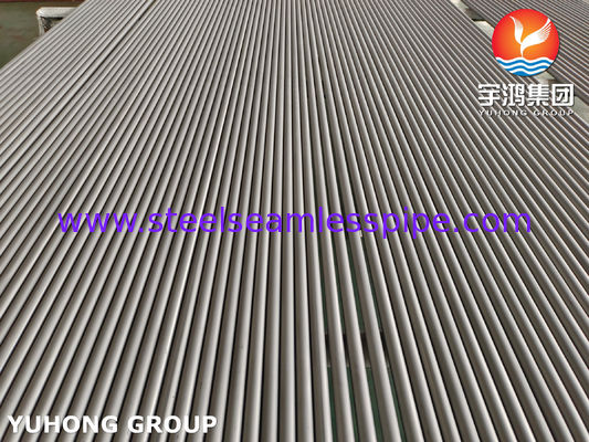 ASTM A268 TP410/UNS S41000/EN φερριτικός άνευ ραφής σωλήνας ανοξείδωτου 1,4006