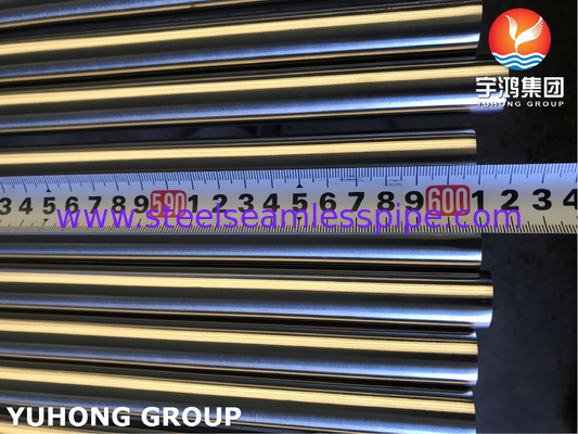 ASTM A269 TP316L Φωτεινός αναψυγμένος άψογος σωλήνας για εξοπλισμό θαλάσσιου νερού