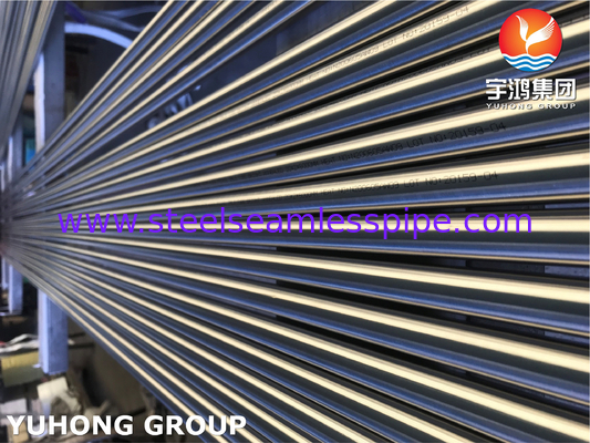 ASTM A269 TP316L Φωτεινός αναψυγμένος άψογος σωλήνας για εξοπλισμό θαλάσσιου νερού