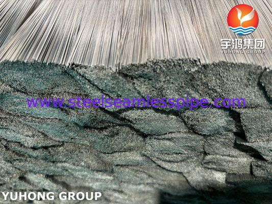 SUS304 Φωτεινά Ανόπτητα Τριχοειδή Σωληνάρια από Ανοξείδωτο Χάλυβα για Ιατρικά Όργανα ISO9626