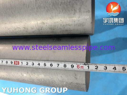 ASTM A789 S32205 Διπλής ατσάλινος σωλήνας για τη βιομηχανία πετρελαίου και φυσικού αερίου