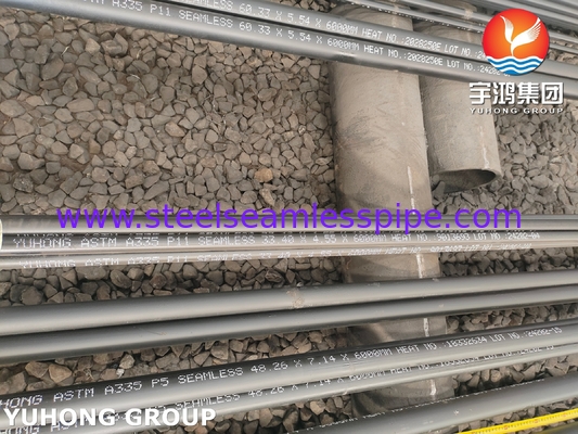ASTM A335 P11 Σύνθετο χάλυβα Χωρίς Σύνδεση σωλήνα για υπερθέρμανση οικονομιστή μήκος 6000mm WT 10,97mm