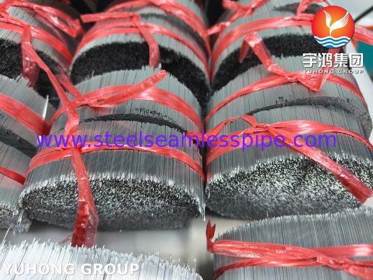 Ιατρική ανοξείδωτη βελόνα υποδερμικής χρήσης με λοξότμηση για χορήγηση φαρμάκων SUS304