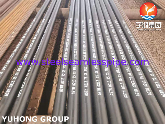 ASTM A213 T5 (UNS K41545) Χωρίς συγκόλληση σωλήνας από κράμα χάλυβα για λέβητα και υπερθερμαντήρες