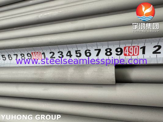 ASTM A213 TP347 Stainless Steel Seamless Boiler Tube