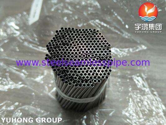 SUS304 X5CrNi18-9 Ιατρικού Βαθμού Ανοξείδωτος Σωλήνας Τριχοειδούς για Χειρουργικά Εργαλεία