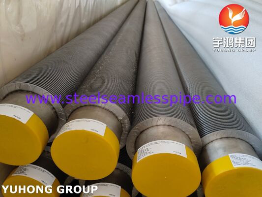 ASTM A376 TP347H Fin Tube CS, υψηλής θερμοκρασίας ανθεκτικό σύνθετο φιν σωλήνα (Βάση CS + Φιν TP347H)