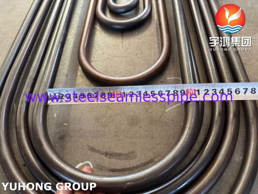 ASME SA213 T11 Seamless Alloy Tube 1.25Cr-0.5Mo Chrome Moly for Boiler Superheater Power Plant