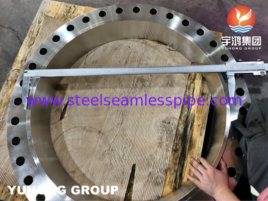ASTM A182 F316L WNRF πλαστική φλάντσα από ανοξείδωτο χάλυβα για διαβρωτικά συστήματα σωλήνων