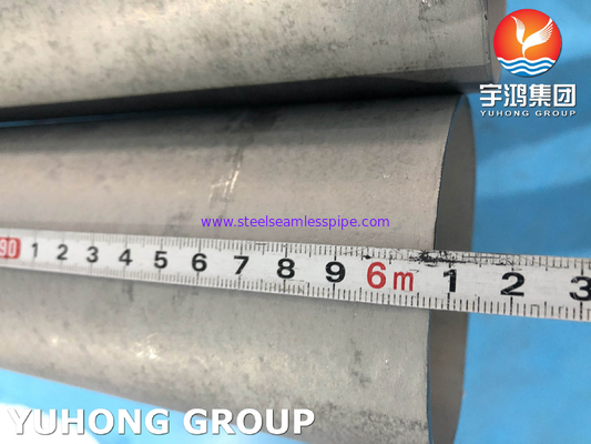 ASTM A789 UNS S32205 Χωρίς συγκόλληση σωλήνες από ανοξείδωτο ατσάλι διπλού τύπου για αφαλάτωση θαλασσινού νερού