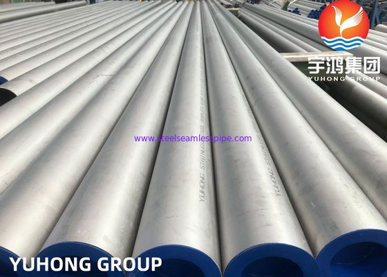 Γυαλισμένος χωρίς συγκόλληση σωλήνας ASTM A312 TP310S ανοξείδωτου που ανοπτείται και που παστώνεται