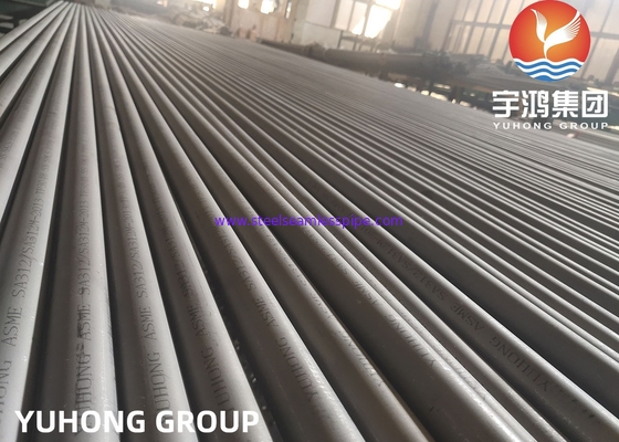 ASTM A312 TP304H ((UNS S30409) Χωρίς συγκόλληση σωλήνας από ανοξείδωτο χάλυβα για τη χημική βιομηχανία